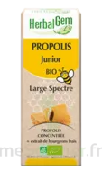 Herbalgem Propolis Large Spectre Solution Buvable Bio Junior Fl Cpte-gttes/15ml à SAINT-MARTIN-DU-VAR